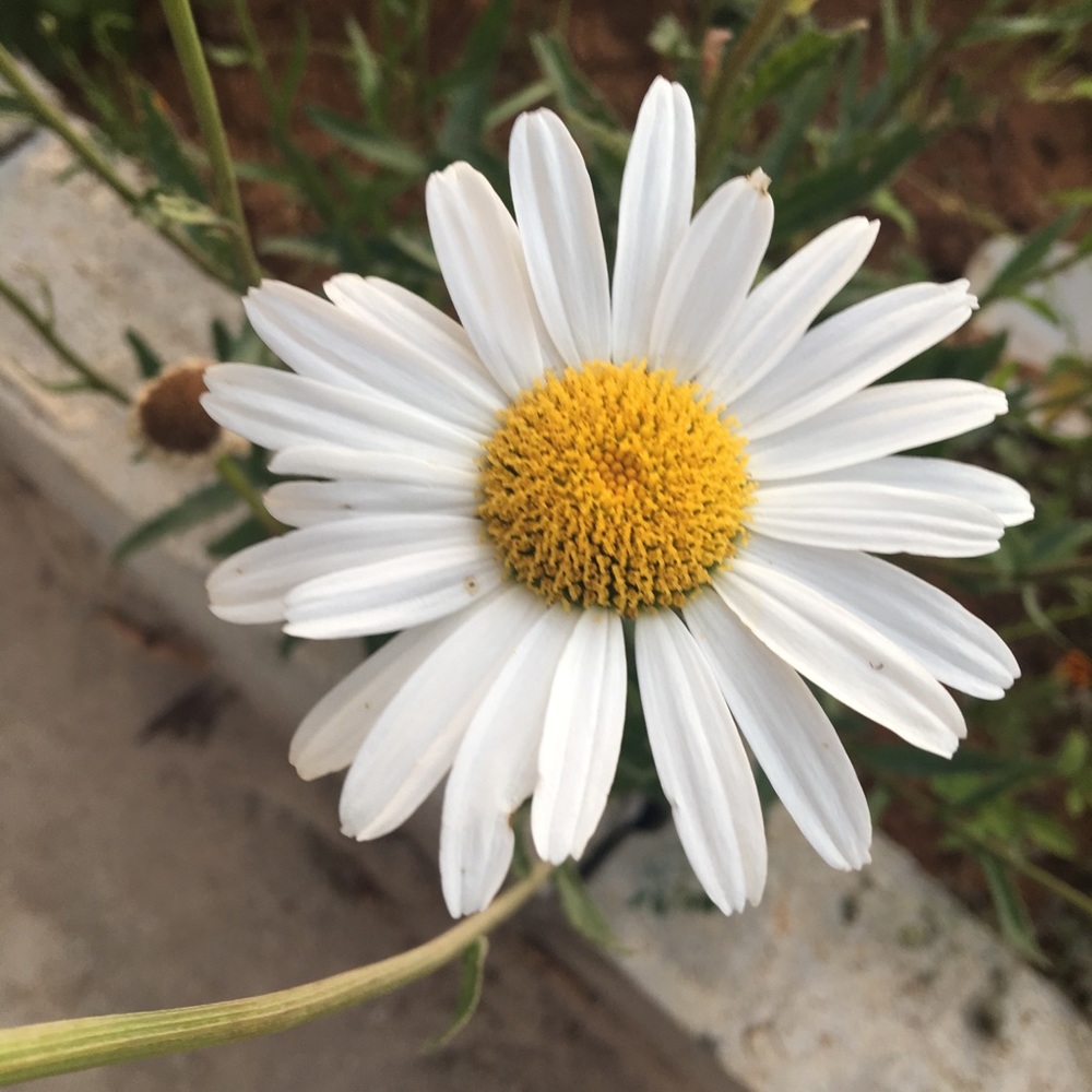 Meet your Posher, Fatmr